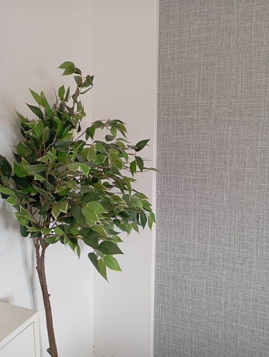 Decoração c/ papel de parede.