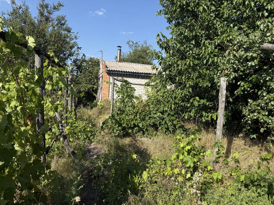 Продам дачу 20 соток у леса и реки Псёл
