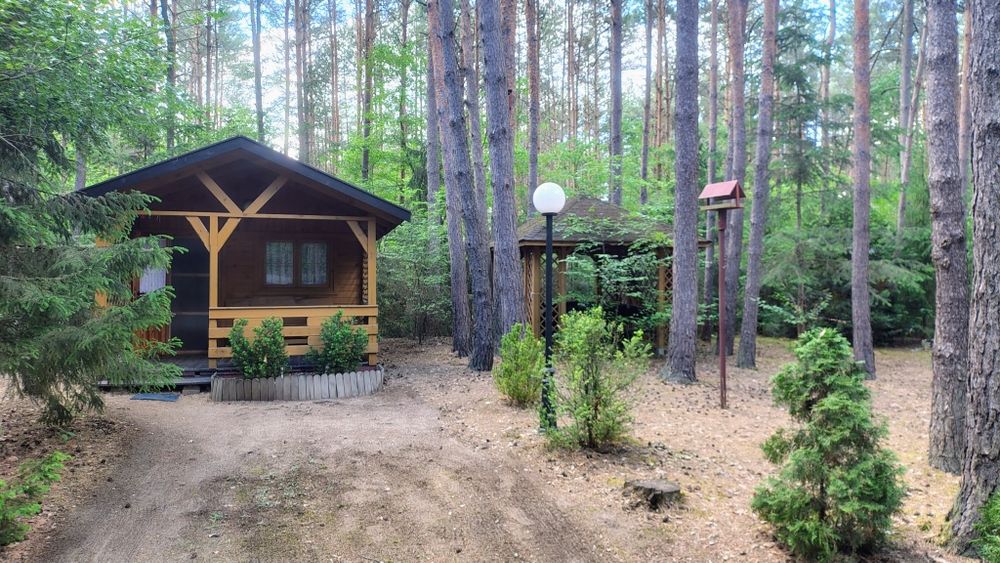 Działka z domkiem w Kolonii Karczmy (woj. łódzkie, Zelów) - View 3