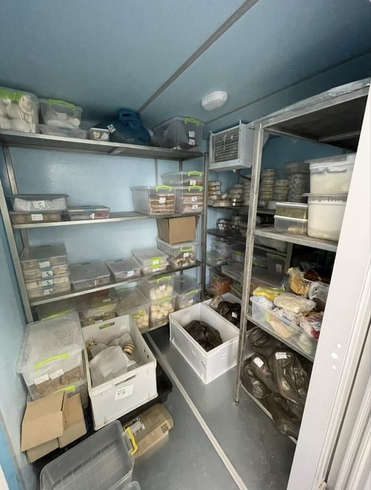 Пекарня - цех - виробництво