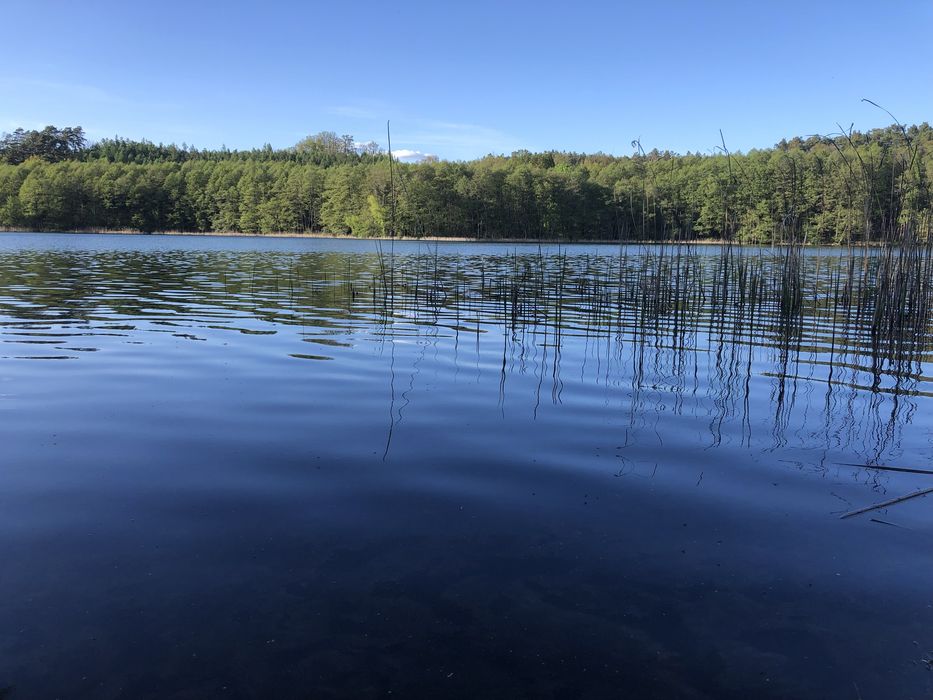 Kwatery pracownicze,agroturystyka