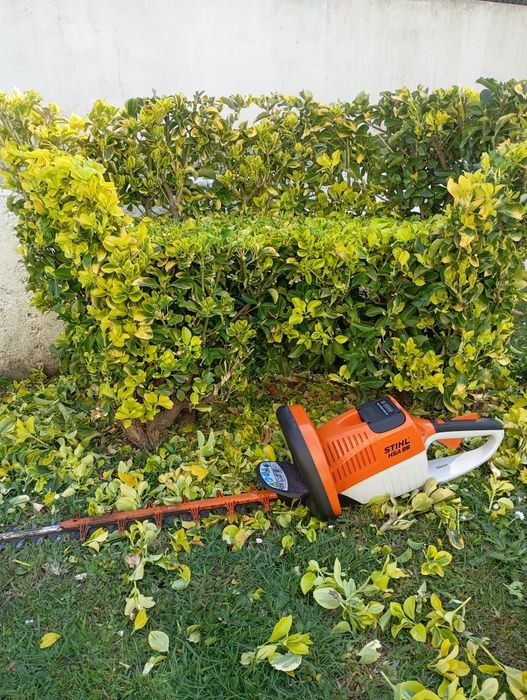 Serviços de jardinagem