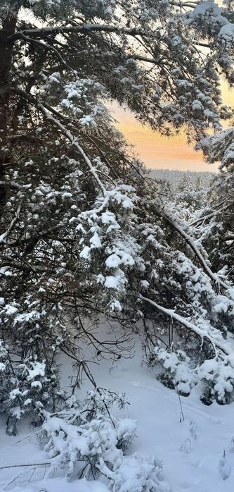 Земельна ділянка 26 Га! Марʼянівка !