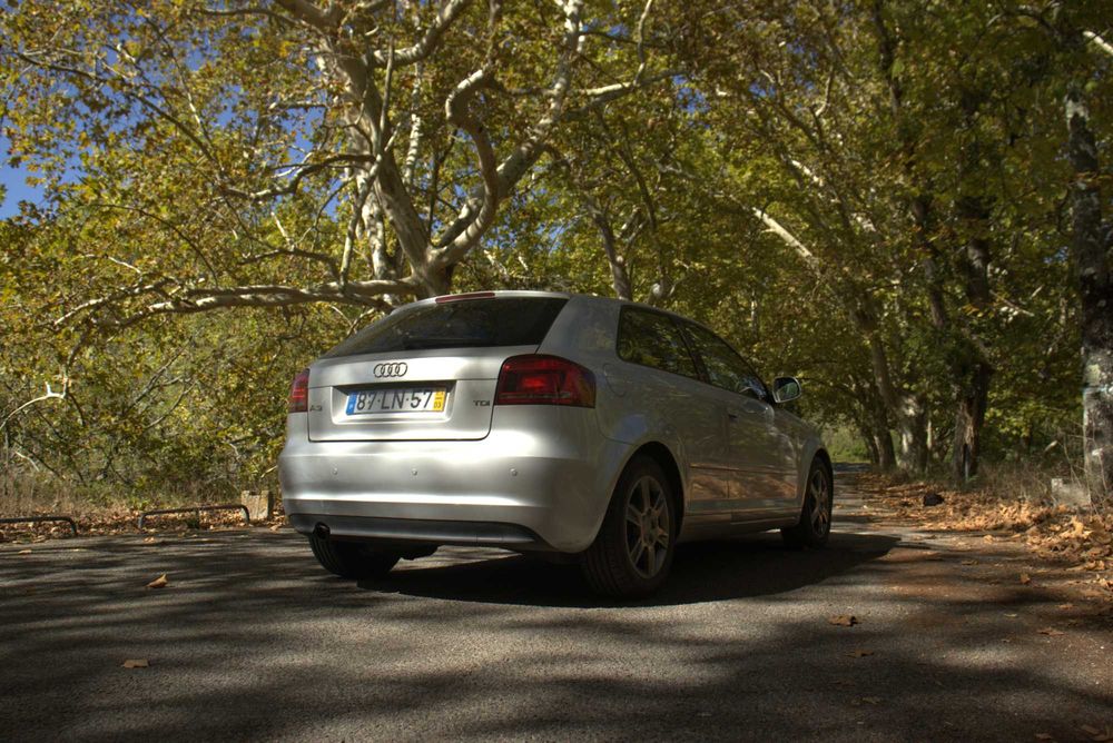 AUDI A3 Hatchback (8P1) 1.6 TDI 105 cv
