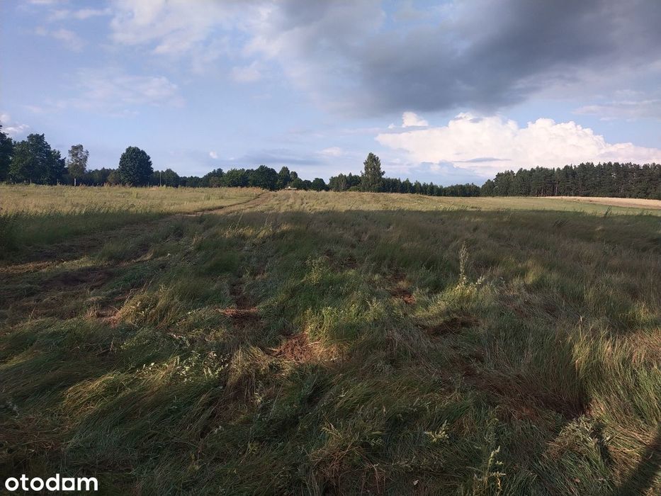 Duża działka 2700 m² z Warunkami Zabudowy . Tylko 37 zł za m2. Na wsi - Widok 5