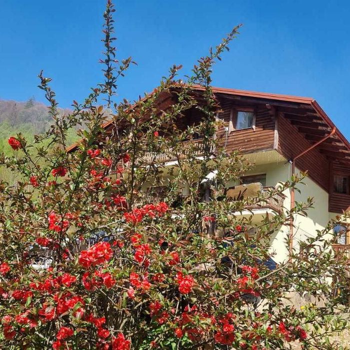 Лісова казка у пані Стефанії  Котедж , відпочинок в Карпатах, Славське