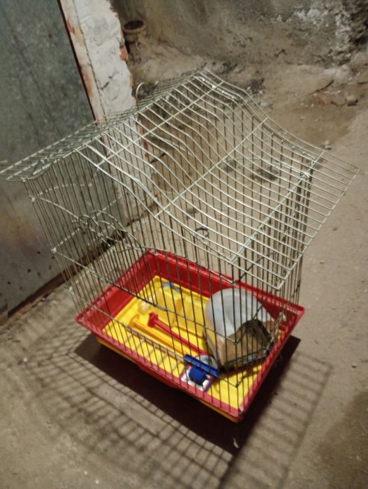 Клітка для птахів