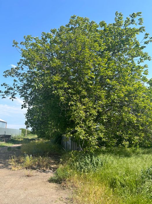 Дом на две половини