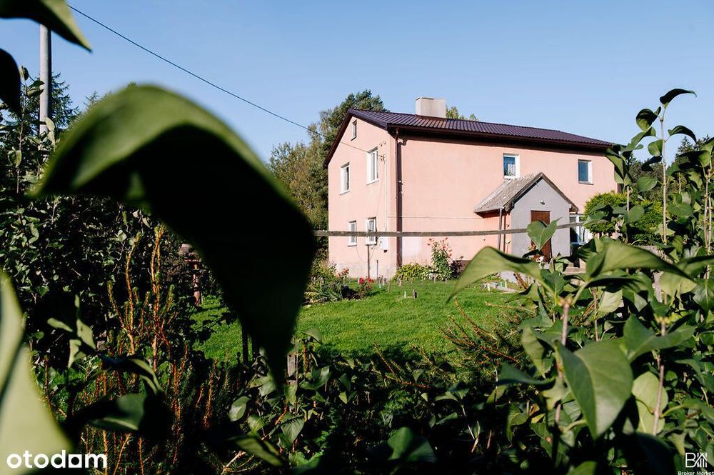 Dom wolnostojący w Puszczy Rominckiej - las, jezioro