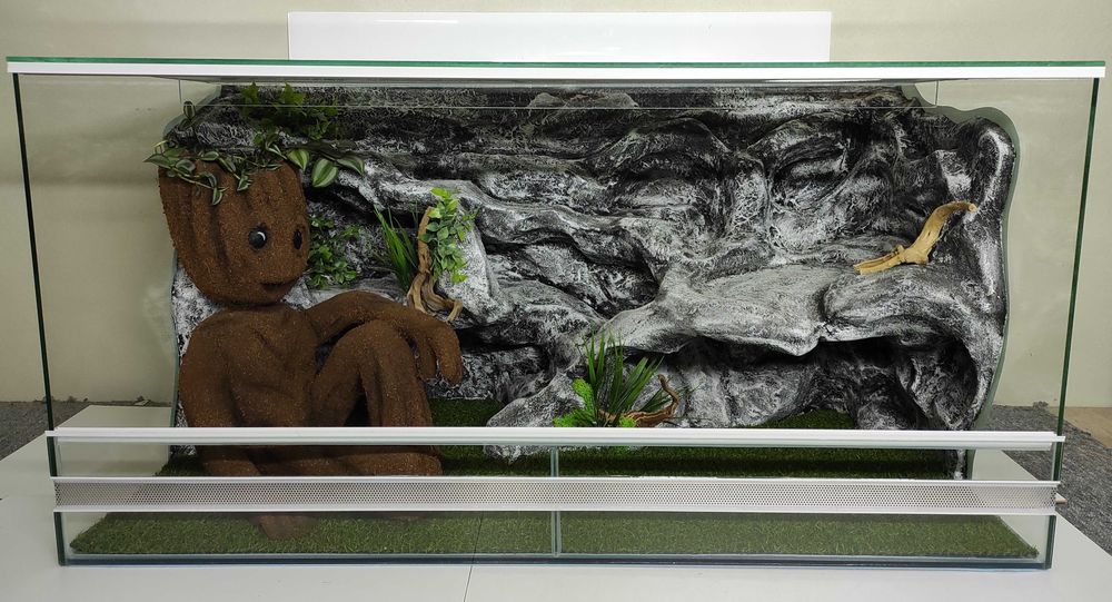 Terrarium dla agamy, legwana obrożnego, TW24G3, AquaWaves