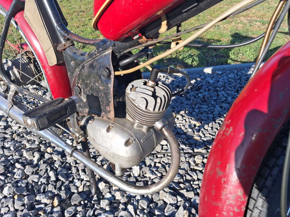 Komar sztywniak 1968