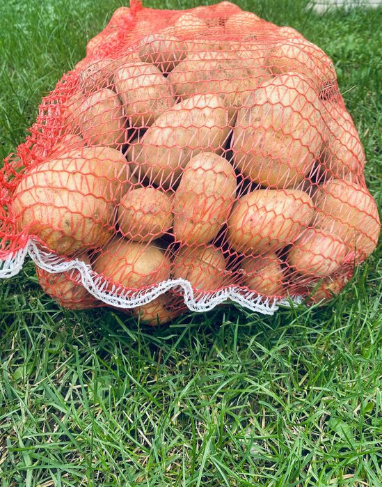 Ziemniaki Naturalne bez nawozu 15kg