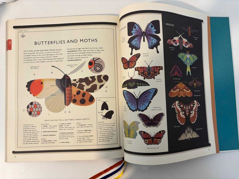 Livro Curiositree: Natural World A Visual Compendium of Wonders from Nature