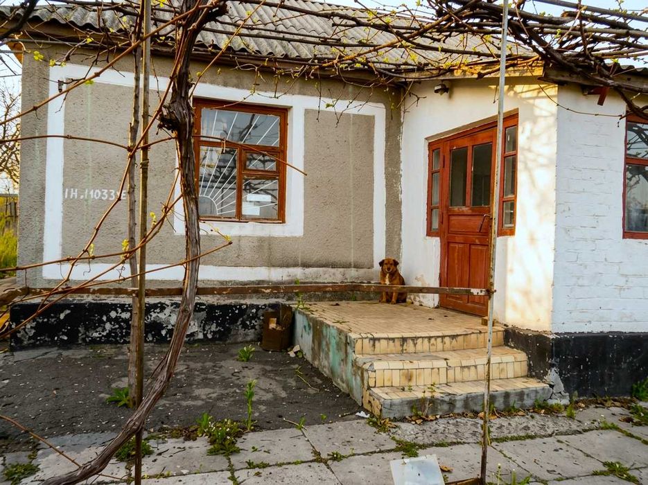 Масштабна локація 3,15 га з ангаром в оренду: Братське (Промзона) - Вид 2