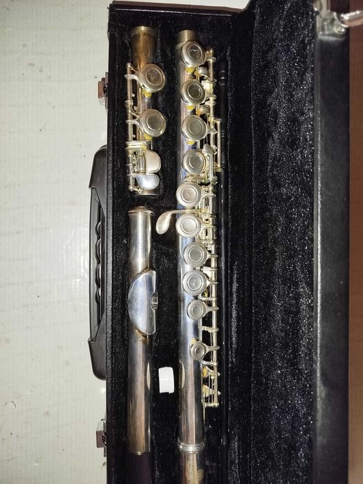 Флейта Kadence в жорсткому футлярі