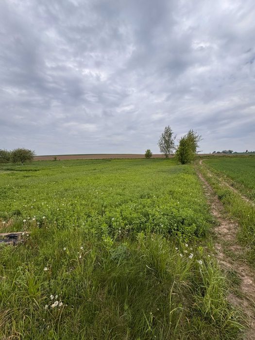 Продаж будинку в с. Михайлівка