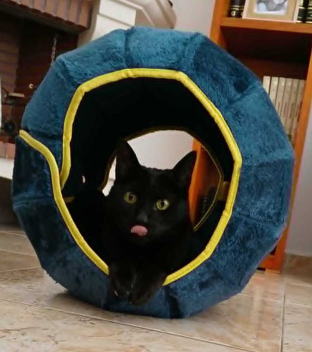 Caverna/cama tipo toca para gato, dobrável para ser facilmente transportada