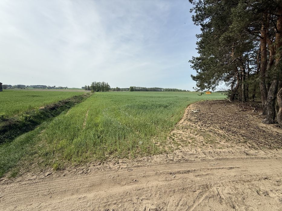 NA SPRZEDAŻ –4 działki z warunkami zabudowy - Więcej