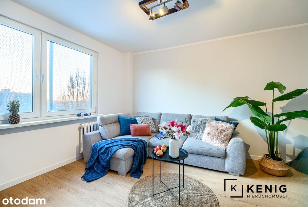 Kawalerka z aneksem sypialnym dla singla lub pary