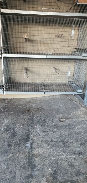 Gaiolas novas e usadas