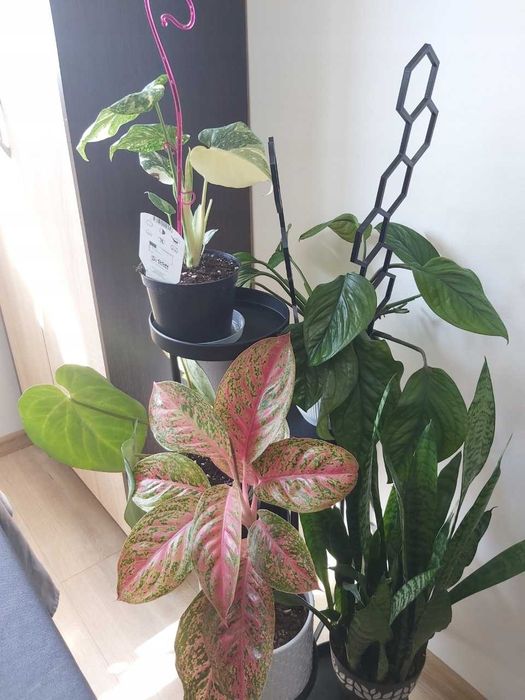 Kwietnik Stojący Stojak Na Kwiaty Rośliny Metalowy Regał Na Rośliny