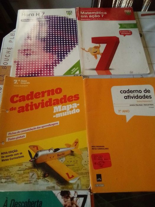 Livros de Ficha 7º ano