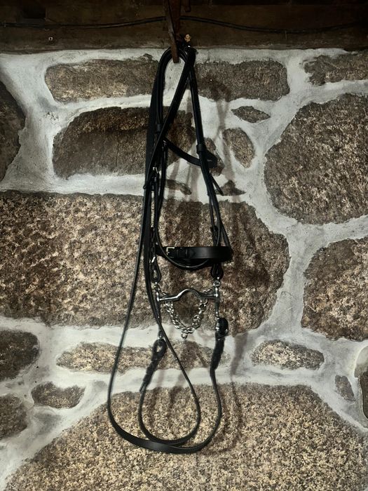 Arreios para cavalos