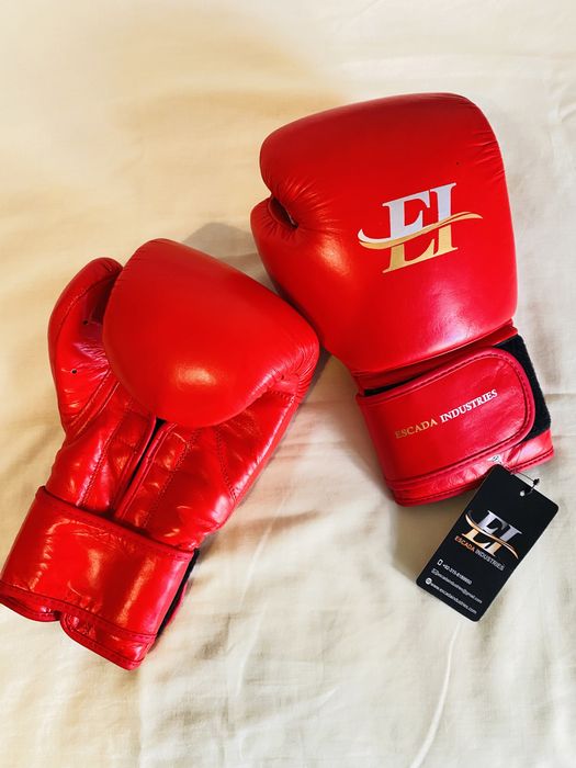 Luvas de boxe (importadas)