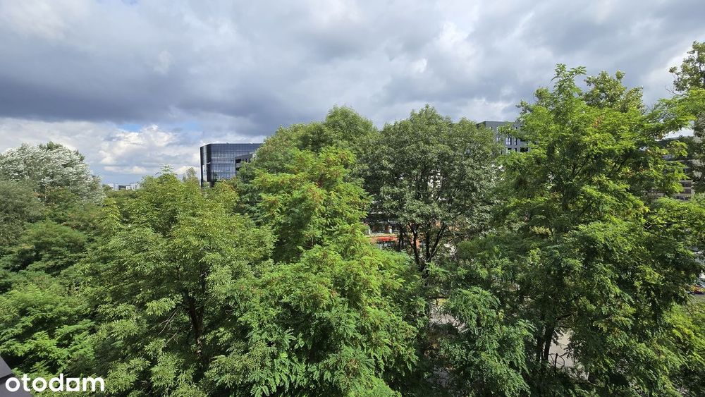 Trzypokojowe Cystersów jasna kuchnia duży balkon