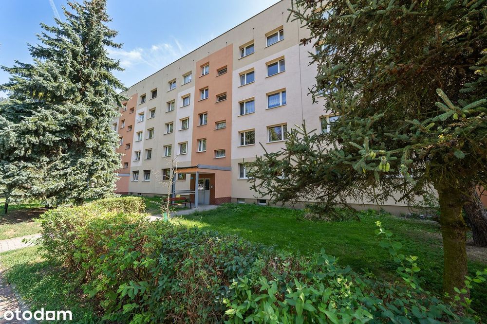 Osiedle po termomodernizacji. Dwustronne, balkon, zielona okolica