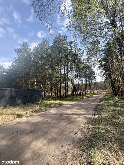Działka idealna pod wymarzony dom lub inwestycje - Widok 4
