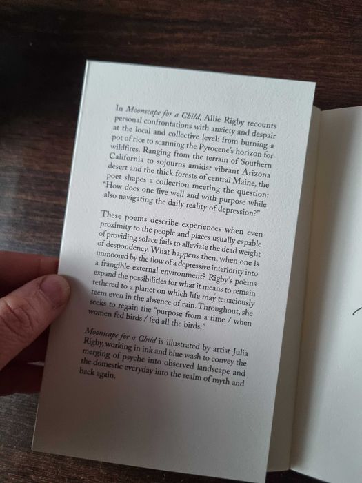 Moonscape for a child Rigby