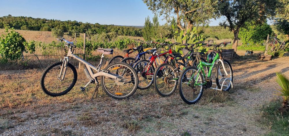 Monte Alentejano -  Aluguer