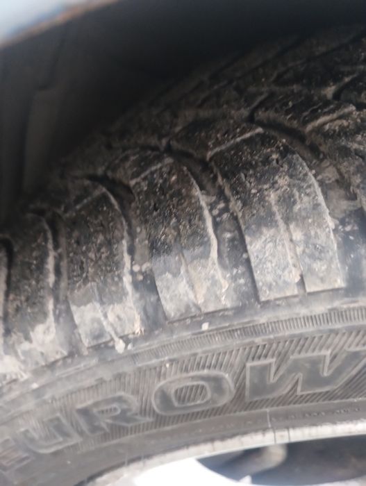 Nissan primera p12 газ бензин