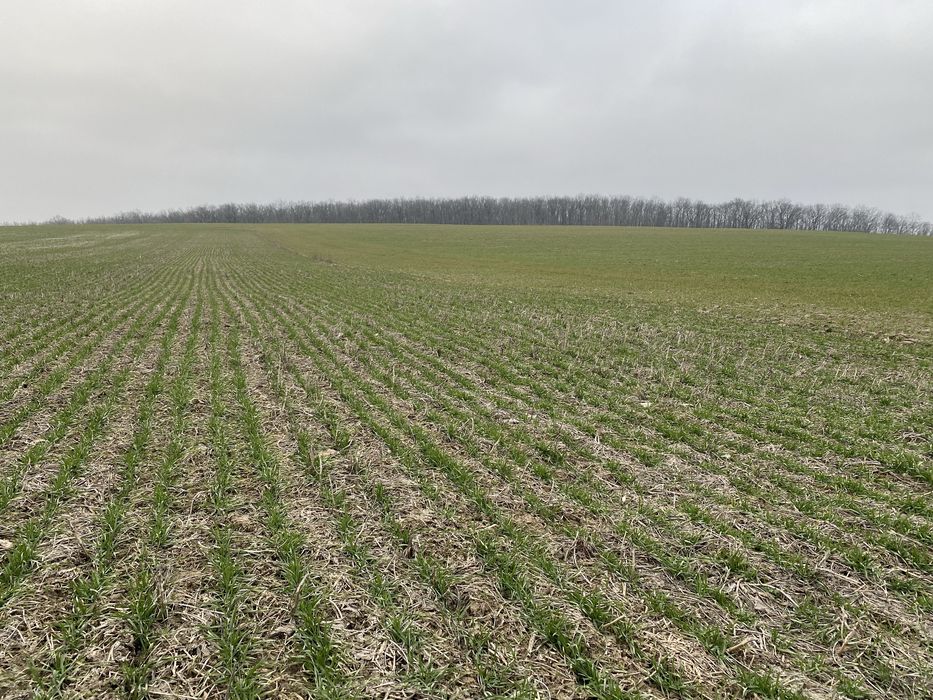 Сівалка Сіва Нова 3.6