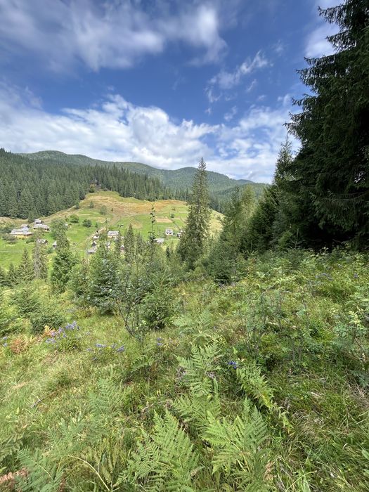 Продається 1.2 гектара з можливістю зміни цільового призначення