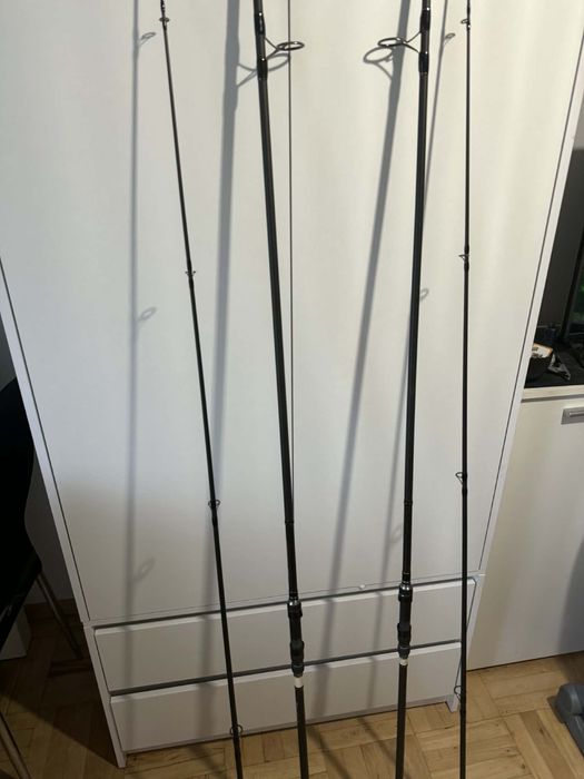 Wedki karpiowe Daiwa