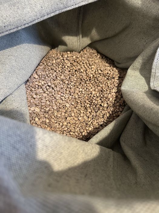 Кава в зернах Арабіка з Бразилії | Мішки від 15 до 50 кг | ОПТ