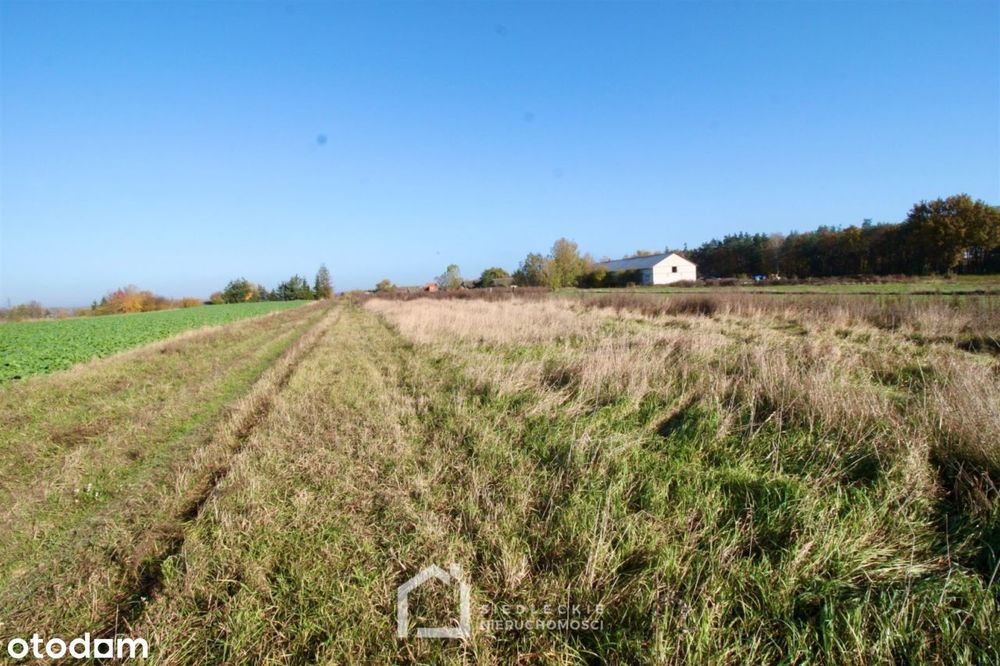 Działka, Pustki