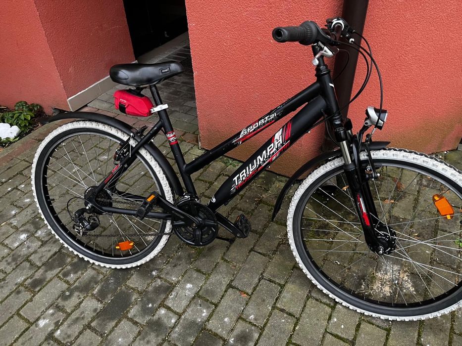 Rower Triumph Sport Energy 26” db stan