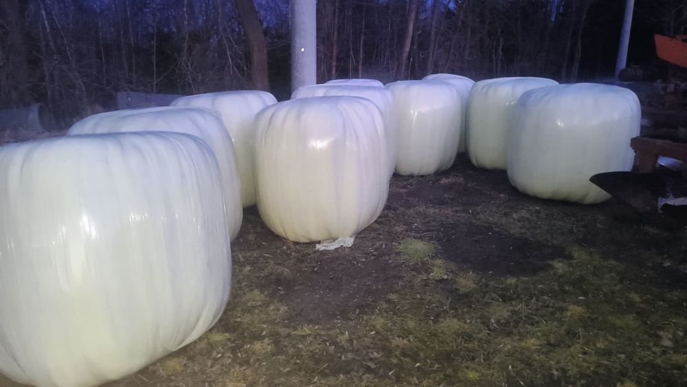 Sianokiszonka tam to roczna