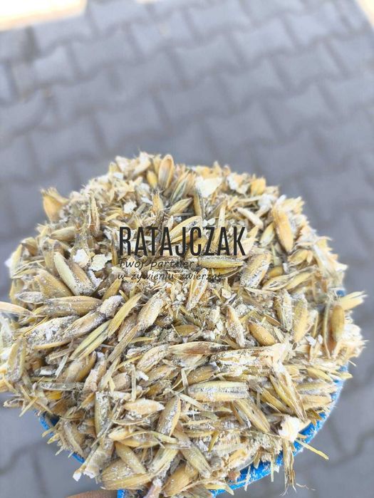 OWIES gnieciony walcowany pasza zboże gęsi bydło konie 20kg możliwa wysyłka