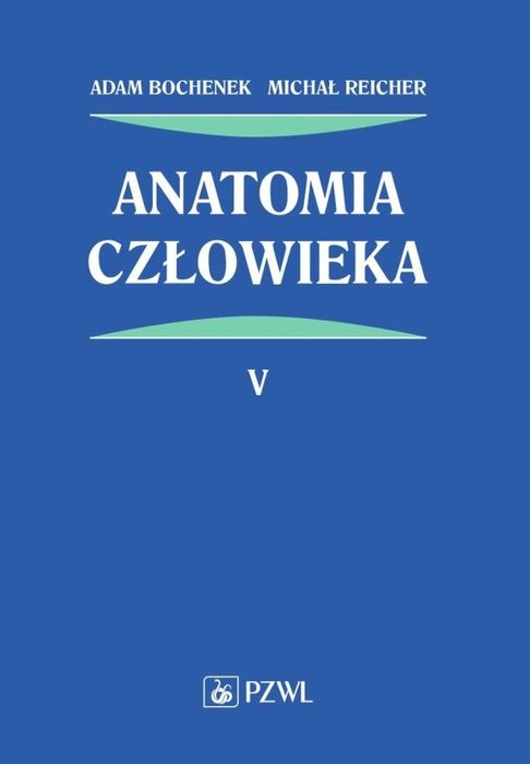 Anatomia człowieka T.5 PZWL Adam Bochenek, Michał Reicher Rok wydania