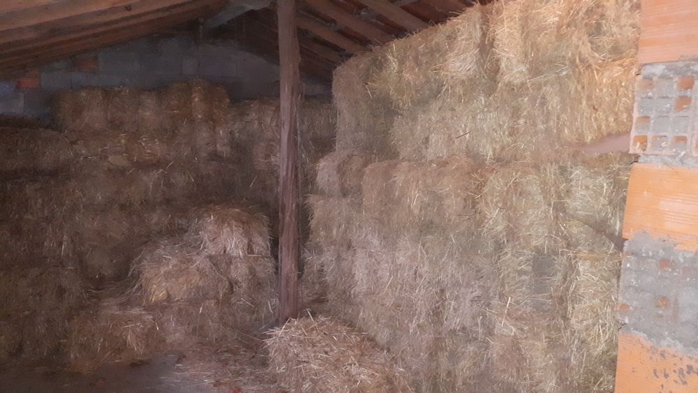 Fardos de feno bravo