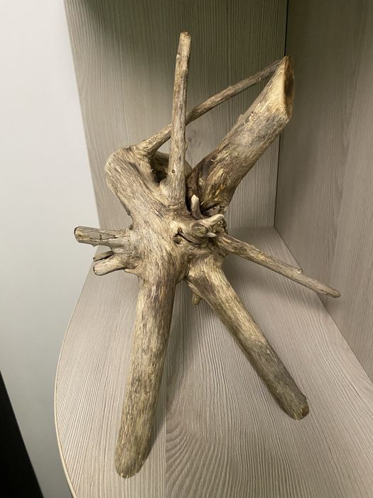 Коряга для акваріума