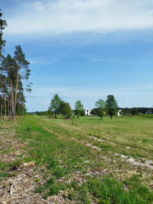 Działka przy lesie w Bilczy-Zastawie