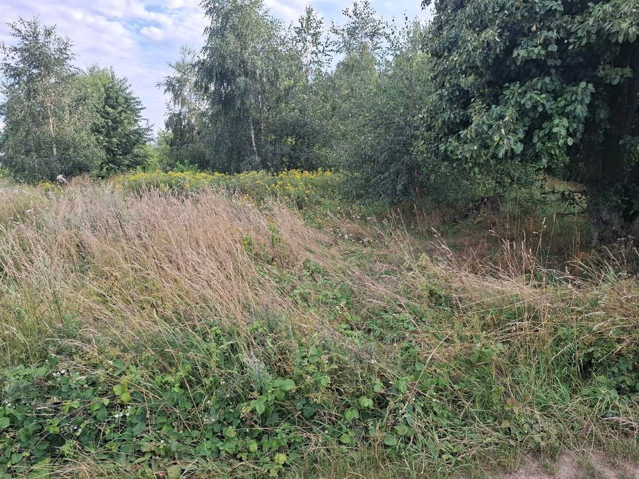 Działka w Lipniku na sprzedaż