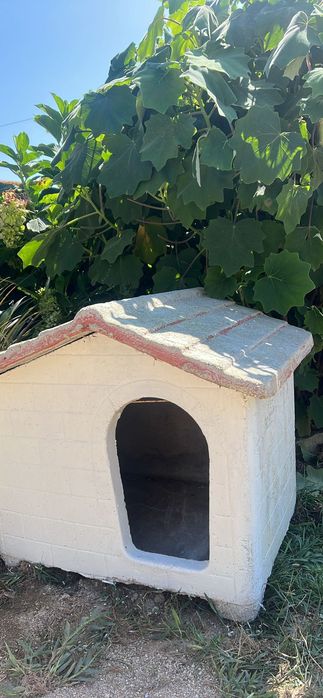 Casota de cão médio