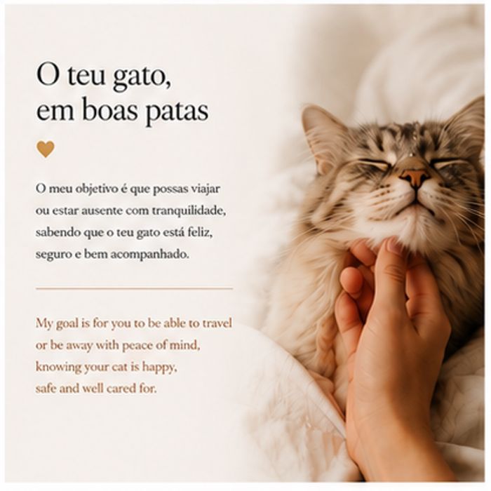 Catsitter Lisboa497380092670136322