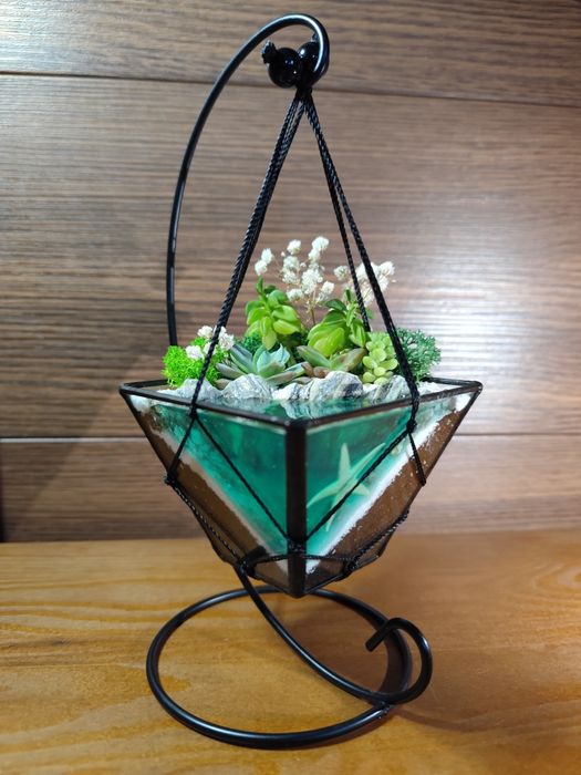 Рослини, сукуленти, флораріум, подарунок, квіти, вазон